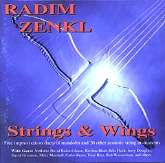 Strings & Wings cover